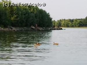 [P10] Rățuște în portul Brăila » foto by crismis
 - 
<span class="allrVoted glyphicon glyphicon-heart hidden" id="av1242068"></span>
<a class="m-l-10 hidden" id="sv1242068" onclick="voting_Foto_DelVot(,1242068,4457)" role="button">șterge vot <span class="glyphicon glyphicon-remove"></span></a>
<a id="v91242068" class=" c-red"  onclick="voting_Foto_SetVot(1242068)" role="button"><span class="glyphicon glyphicon-heart-empty"></span> <b>LIKE</b> = Votează poza</a> <img class="hidden"  id="f1242068W9" src="/imagini/loader.gif" border="0" /><span class="AjErrMes hidden" id="e1242068ErM"></span>