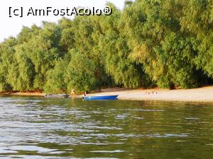 [P15] Plaja Lipoveneasca » foto by crismis
 - 
<span class="allrVoted glyphicon glyphicon-heart hidden" id="av1242073"></span>
<a class="m-l-10 hidden" id="sv1242073" onclick="voting_Foto_DelVot(,1242073,4457)" role="button">șterge vot <span class="glyphicon glyphicon-remove"></span></a>
<a id="v91242073" class=" c-red"  onclick="voting_Foto_SetVot(1242073)" role="button"><span class="glyphicon glyphicon-heart-empty"></span> <b>LIKE</b> = Votează poza</a> <img class="hidden"  id="f1242073W9" src="/imagini/loader.gif" border="0" /><span class="AjErrMes hidden" id="e1242073ErM"></span>