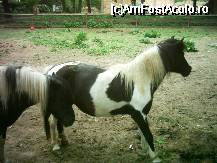 [P10]  -- <small>// FĂRĂ DESCRIERE</small> » foto by alinush_geo
 - 
<span class="allrVoted glyphicon glyphicon-heart hidden" id="av39506"></span>
<a class="m-l-10 hidden" id="sv39506" onclick="voting_Foto_DelVot(,39506,4463)" role="button">șterge vot <span class="glyphicon glyphicon-remove"></span></a>
<a id="v939506" class=" c-red"  onclick="voting_Foto_SetVot(39506)" role="button"><span class="glyphicon glyphicon-heart-empty"></span> <b>LIKE</b> = Votează poza</a> <img class="hidden"  id="f39506W9" src="/imagini/loader.gif" border="0" /><span class="AjErrMes hidden" id="e39506ErM"></span>