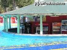 [P23] Barul de la piscina » foto by bogdanfifa
 - 
<span class="allrVoted glyphicon glyphicon-heart hidden" id="av330663"></span>
<a class="m-l-10 hidden" id="sv330663" onclick="voting_Foto_DelVot(,330663,4503)" role="button">șterge vot <span class="glyphicon glyphicon-remove"></span></a>
<a id="v9330663" class=" c-red"  onclick="voting_Foto_SetVot(330663)" role="button"><span class="glyphicon glyphicon-heart-empty"></span> <b>LIKE</b> = Votează poza</a> <img class="hidden"  id="f330663W9" src="/imagini/loader.gif" border="0" /><span class="AjErrMes hidden" id="e330663ErM"></span>