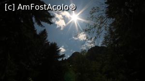 [P27] Foto cu canon diafragma 22 timp expunere 400 i s o  auto.

Bușteni despre cascada » foto by djcioko
 - 
<span class="allrVoted glyphicon glyphicon-heart hidden" id="av1244818"></span>
<a class="m-l-10 hidden" id="sv1244818" onclick="voting_Foto_DelVot(,1244818,4537)" role="button">șterge vot <span class="glyphicon glyphicon-remove"></span></a>
<a id="v91244818" class=" c-red"  onclick="voting_Foto_SetVot(1244818)" role="button"><span class="glyphicon glyphicon-heart-empty"></span> <b>LIKE</b> = Votează poza</a> <img class="hidden"  id="f1244818W9" src="/imagini/loader.gif" border="0" /><span class="AjErrMes hidden" id="e1244818ErM"></span>