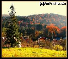 [P02] In mijlocul padurii, Castelul Cantacuzino » foto by private_rayen
 - 
<span class="allrVoted glyphicon glyphicon-heart hidden" id="av187372"></span>
<a class="m-l-10 hidden" id="sv187372" onclick="voting_Foto_DelVot(,187372,4537)" role="button">șterge vot <span class="glyphicon glyphicon-remove"></span></a>
<a id="v9187372" class=" c-red"  onclick="voting_Foto_SetVot(187372)" role="button"><span class="glyphicon glyphicon-heart-empty"></span> <b>LIKE</b> = Votează poza</a> <img class="hidden"  id="f187372W9" src="/imagini/loader.gif" border="0" /><span class="AjErrMes hidden" id="e187372ErM"></span>