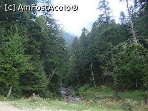 [P07] Tot mai aproape de intrarea în pădure. Din acest punct traseul cotește către stânga.  » foto by Floryn81
 - 
<span class="allrVoted glyphicon glyphicon-heart hidden" id="av792657"></span>
<a class="m-l-10 hidden" id="sv792657" onclick="voting_Foto_DelVot(,792657,4537)" role="button">șterge vot <span class="glyphicon glyphicon-remove"></span></a>
<a id="v9792657" class=" c-red"  onclick="voting_Foto_SetVot(792657)" role="button"><span class="glyphicon glyphicon-heart-empty"></span> <b>LIKE</b> = Votează poza</a> <img class="hidden"  id="f792657W9" src="/imagini/loader.gif" border="0" /><span class="AjErrMes hidden" id="e792657ErM"></span>