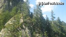 [P10]  -- <small>// FĂRĂ DESCRIERE</small> » foto by cristi82d
 - 
<span class="allrVoted glyphicon glyphicon-heart hidden" id="av123348"></span>
<a class="m-l-10 hidden" id="sv123348" onclick="voting_Foto_DelVot(,123348,4537)" role="button">șterge vot <span class="glyphicon glyphicon-remove"></span></a>
<a id="v9123348" class=" c-red"  onclick="voting_Foto_SetVot(123348)" role="button"><span class="glyphicon glyphicon-heart-empty"></span> <b>LIKE</b> = Votează poza</a> <img class="hidden"  id="f123348W9" src="/imagini/loader.gif" border="0" /><span class="AjErrMes hidden" id="e123348ErM"></span>