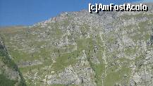 [P15]  -- <small>// FĂRĂ DESCRIERE</small> » foto by cristi82d
 - 
<span class="allrVoted glyphicon glyphicon-heart hidden" id="av123353"></span>
<a class="m-l-10 hidden" id="sv123353" onclick="voting_Foto_DelVot(,123353,4537)" role="button">șterge vot <span class="glyphicon glyphicon-remove"></span></a>
<a id="v9123353" class=" c-red"  onclick="voting_Foto_SetVot(123353)" role="button"><span class="glyphicon glyphicon-heart-empty"></span> <b>LIKE</b> = Votează poza</a> <img class="hidden"  id="f123353W9" src="/imagini/loader.gif" border="0" /><span class="AjErrMes hidden" id="e123353ErM"></span>