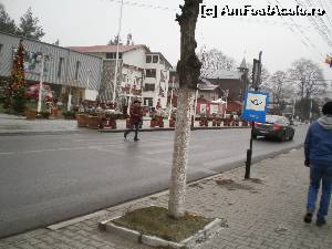 [P14] STRADA PRINCIPALA (LIBERTATII) BUSTENI » foto by ile57b
 - 
<span class="allrVoted glyphicon glyphicon-heart hidden" id="av579818"></span>
<a class="m-l-10 hidden" id="sv579818" onclick="voting_Foto_DelVot(,579818,4537)" role="button">șterge vot <span class="glyphicon glyphicon-remove"></span></a>
<a id="v9579818" class=" c-red"  onclick="voting_Foto_SetVot(579818)" role="button"><span class="glyphicon glyphicon-heart-empty"></span> <b>LIKE</b> = Votează poza</a> <img class="hidden"  id="f579818W9" src="/imagini/loader.gif" border="0" /><span class="AjErrMes hidden" id="e579818ErM"></span>