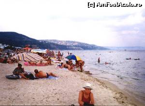 [P29] Albena » foto by zuftim
 - 
<span class="allrVoted glyphicon glyphicon-heart hidden" id="av541200"></span>
<a class="m-l-10 hidden" id="sv541200" onclick="voting_Foto_DelVot(,541200,4546)" role="button">șterge vot <span class="glyphicon glyphicon-remove"></span></a>
<a id="v9541200" class=" c-red"  onclick="voting_Foto_SetVot(541200)" role="button"><span class="glyphicon glyphicon-heart-empty"></span> <b>LIKE</b> = Votează poza</a> <img class="hidden"  id="f541200W9" src="/imagini/loader.gif" border="0" /><span class="AjErrMes hidden" id="e541200ErM"></span>