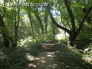 [P02] Parcul natural Zlatni Pyasatsi » foto by cod_gabriel
 - 
<span class="allrVoted glyphicon glyphicon-heart hidden" id="av1257943"></span>
<a class="m-l-10 hidden" id="sv1257943" onclick="voting_Foto_DelVot(,1257943,4546)" role="button">șterge vot <span class="glyphicon glyphicon-remove"></span></a>
<a id="v91257943" class=" c-red"  onclick="voting_Foto_SetVot(1257943)" role="button"><span class="glyphicon glyphicon-heart-empty"></span> <b>LIKE</b> = Votează poza</a> <img class="hidden"  id="f1257943W9" src="/imagini/loader.gif" border="0" /><span class="AjErrMes hidden" id="e1257943ErM"></span>