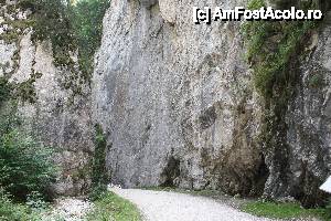[P06]  -- <small>// FĂRĂ DESCRIERE</small> » foto by roxanas
 - 
<span class="allrVoted glyphicon glyphicon-heart hidden" id="av463913"></span>
<a class="m-l-10 hidden" id="sv463913" onclick="voting_Foto_DelVot(,463913,4548)" role="button">șterge vot <span class="glyphicon glyphicon-remove"></span></a>
<a id="v9463913" class=" c-red"  onclick="voting_Foto_SetVot(463913)" role="button"><span class="glyphicon glyphicon-heart-empty"></span> <b>LIKE</b> = Votează poza</a> <img class="hidden"  id="f463913W9" src="/imagini/loader.gif" border="0" /><span class="AjErrMes hidden" id="e463913ErM"></span>
