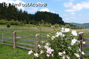 [P20] Vedere din gradina mirifica din spatele pensiunii (8)  » foto by a_vlad2009
 - 
<span class="allrVoted glyphicon glyphicon-heart hidden" id="av890795"></span>
<a class="m-l-10 hidden" id="sv890795" onclick="voting_Foto_DelVot(,890795,4548)" role="button">șterge vot <span class="glyphicon glyphicon-remove"></span></a>
<a id="v9890795" class=" c-red"  onclick="voting_Foto_SetVot(890795)" role="button"><span class="glyphicon glyphicon-heart-empty"></span> <b>LIKE</b> = Votează poza</a> <img class="hidden"  id="f890795W9" src="/imagini/loader.gif" border="0" /><span class="AjErrMes hidden" id="e890795ErM"></span>