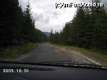 [P19] Camioanele de mare tonaj, care cară buştenii tăiaţi de pe versanţii munţilor, au lăsat urme adânci în şoseaua până nu de mult în stare foarte bună. » foto by Costi
 - 
<span class="allrVoted glyphicon glyphicon-heart hidden" id="av41176"></span>
<a class="m-l-10 hidden" id="sv41176" onclick="voting_Foto_DelVot(,41176,4551)" role="button">șterge vot <span class="glyphicon glyphicon-remove"></span></a>
<a id="v941176" class=" c-red"  onclick="voting_Foto_SetVot(41176)" role="button"><span class="glyphicon glyphicon-heart-empty"></span> <b>LIKE</b> = Votează poza</a> <img class="hidden"  id="f41176W9" src="/imagini/loader.gif" border="0" /><span class="AjErrMes hidden" id="e41176ErM"></span>