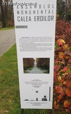[P07] Bener în Parcul Central Tg, Jiu » foto by Michi
 - 
<span class="allrVoted glyphicon glyphicon-heart hidden" id="av1495185"></span>
<a class="m-l-10 hidden" id="sv1495185" onclick="voting_Foto_DelVot(,1495185,4551)" role="button">șterge vot <span class="glyphicon glyphicon-remove"></span></a>
<a id="v91495185" class=" c-red"  onclick="voting_Foto_SetVot(1495185)" role="button"><span class="glyphicon glyphicon-heart-empty"></span> <b>LIKE</b> = Votează poza</a> <img class="hidden"  id="f1495185W9" src="/imagini/loader.gif" border="0" /><span class="AjErrMes hidden" id="e1495185ErM"></span>