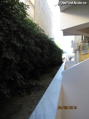 [P09] Privelistea din balcon » foto by AlexandraT
 - 
<span class="allrVoted glyphicon glyphicon-heart hidden" id="av666076"></span>
<a class="m-l-10 hidden" id="sv666076" onclick="voting_Foto_DelVot(,666076,4570)" role="button">șterge vot <span class="glyphicon glyphicon-remove"></span></a>
<a id="v9666076" class=" c-red"  onclick="voting_Foto_SetVot(666076)" role="button"><span class="glyphicon glyphicon-heart-empty"></span> <b>LIKE</b> = Votează poza</a> <img class="hidden"  id="f666076W9" src="/imagini/loader.gif" border="0" /><span class="AjErrMes hidden" id="e666076ErM"></span>