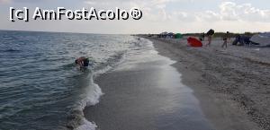 [P01] Plaja Vadu - libera » foto by UrsFe
 - 
<span class="allrVoted glyphicon glyphicon-heart hidden" id="av986394"></span>
<a class="m-l-10 hidden" id="sv986394" onclick="voting_Foto_DelVot(,986394,4577)" role="button">șterge vot <span class="glyphicon glyphicon-remove"></span></a>
<a id="v9986394" class=" c-red"  onclick="voting_Foto_SetVot(986394)" role="button"><span class="glyphicon glyphicon-heart-empty"></span> <b>LIKE</b> = Votează poza</a> <img class="hidden"  id="f986394W9" src="/imagini/loader.gif" border="0" /><span class="AjErrMes hidden" id="e986394ErM"></span>