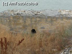 [P16] Capul Doloșman - În incinta Cetății Argamum. » foto by iulianic
 - 
<span class="allrVoted glyphicon glyphicon-heart hidden" id="av1379137"></span>
<a class="m-l-10 hidden" id="sv1379137" onclick="voting_Foto_DelVot(,1379137,4623)" role="button">șterge vot <span class="glyphicon glyphicon-remove"></span></a>
<a id="v91379137" class=" c-red"  onclick="voting_Foto_SetVot(1379137)" role="button"><span class="glyphicon glyphicon-heart-empty"></span> <b>LIKE</b> = Votează poza</a> <img class="hidden"  id="f1379137W9" src="/imagini/loader.gif" border="0" /><span class="AjErrMes hidden" id="e1379137ErM"></span>