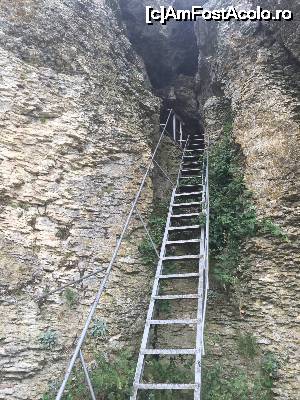 [P17] scara metalica abrupta de acces in pestera ioan casian » foto by Dan&Ema
 - 
<span class="allrVoted glyphicon glyphicon-heart hidden" id="av648762"></span>
<a class="m-l-10 hidden" id="sv648762" onclick="voting_Foto_DelVot(,648762,4623)" role="button">șterge vot <span class="glyphicon glyphicon-remove"></span></a>
<a id="v9648762" class=" c-red"  onclick="voting_Foto_SetVot(648762)" role="button"><span class="glyphicon glyphicon-heart-empty"></span> <b>LIKE</b> = Votează poza</a> <img class="hidden"  id="f648762W9" src="/imagini/loader.gif" border="0" /><span class="AjErrMes hidden" id="e648762ErM"></span>