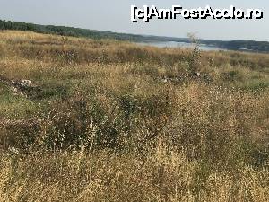 [P54] sub aceste ierburi sunt ruinele acoperite ale cetatii capidava » foto by Dan&Ema
 - 
<span class="allrVoted glyphicon glyphicon-heart hidden" id="av648802"></span>
<a class="m-l-10 hidden" id="sv648802" onclick="voting_Foto_DelVot(,648802,4623)" role="button">șterge vot <span class="glyphicon glyphicon-remove"></span></a>
<a id="v9648802" class=" c-red"  onclick="voting_Foto_SetVot(648802)" role="button"><span class="glyphicon glyphicon-heart-empty"></span> <b>LIKE</b> = Votează poza</a> <img class="hidden"  id="f648802W9" src="/imagini/loader.gif" border="0" /><span class="AjErrMes hidden" id="e648802ErM"></span>