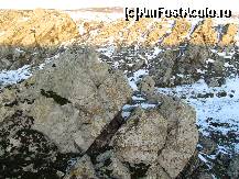 [P26] Şisturile verzi - roci precambriene epimetamorfice, cutate în orogeneza caledonică (Ordovician-Silurian) (505-410 mil. ani), ce apar la zi, formând chiar fundamentul Podişului Casimcei... 
Aflorarea lor actuală este un prilej de intensă contemplare a timpului geologic...  » foto by Neptunus
 - 
<span class="allrVoted glyphicon glyphicon-heart hidden" id="av471325"></span>
<a class="m-l-10 hidden" id="sv471325" onclick="voting_Foto_DelVot(,471325,4623)" role="button">șterge vot <span class="glyphicon glyphicon-remove"></span></a>
<a id="v9471325" class=" c-red"  onclick="voting_Foto_SetVot(471325)" role="button"><span class="glyphicon glyphicon-heart-empty"></span> <b>LIKE</b> = Votează poza</a> <img class="hidden"  id="f471325W9" src="/imagini/loader.gif" border="0" /><span class="AjErrMes hidden" id="e471325ErM"></span>