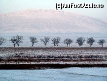 [P06] O vedere forţată spre Deniz-Tepe... Asta pentru că, în dimineaţa zilei de 25 dec. 2012 a fost un aer ceţos...  » foto by Neptunus
 - 
<span class="allrVoted glyphicon glyphicon-heart hidden" id="av471362"></span>
<a class="m-l-10 hidden" id="sv471362" onclick="voting_Foto_DelVot(,471362,4623)" role="button">șterge vot <span class="glyphicon glyphicon-remove"></span></a>
<a id="v9471362" class=" c-red"  onclick="voting_Foto_SetVot(471362)" role="button"><span class="glyphicon glyphicon-heart-empty"></span> <b>LIKE</b> = Votează poza</a> <img class="hidden"  id="f471362W9" src="/imagini/loader.gif" border="0" /><span class="AjErrMes hidden" id="e471362ErM"></span>