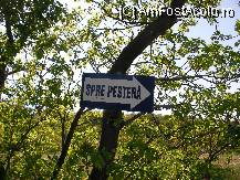 [P03] Spre Pestera Ioan Casian » foto by ancamariagadea*
 - 
<span class="allrVoted glyphicon glyphicon-heart hidden" id="av78830"></span>
<a class="m-l-10 hidden" id="sv78830" onclick="voting_Foto_DelVot(,78830,4623)" role="button">șterge vot <span class="glyphicon glyphicon-remove"></span></a>
<a id="v978830" class=" c-red"  onclick="voting_Foto_SetVot(78830)" role="button"><span class="glyphicon glyphicon-heart-empty"></span> <b>LIKE</b> = Votează poza</a> <img class="hidden"  id="f78830W9" src="/imagini/loader.gif" border="0" /><span class="AjErrMes hidden" id="e78830ErM"></span>