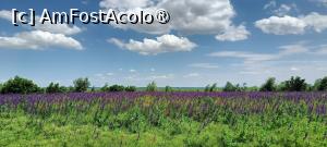 [P29] Primăvara într-un colț de Dobrogea » foto by tata123 🔱
 - 
<span class="allrVoted glyphicon glyphicon-heart hidden" id="av1530532"></span>
<a class="m-l-10 hidden" id="sv1530532" onclick="voting_Foto_DelVot(,1530532,4623)" role="button">șterge vot <span class="glyphicon glyphicon-remove"></span></a>
<a id="v91530532" class=" c-red"  onclick="voting_Foto_SetVot(1530532)" role="button"><span class="glyphicon glyphicon-heart-empty"></span> <b>LIKE</b> = Votează poza</a> <img class="hidden"  id="f1530532W9" src="/imagini/loader.gif" border="0" /><span class="AjErrMes hidden" id="e1530532ErM"></span>