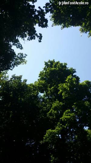 [P21]  -- <small>// FĂRĂ DESCRIERE</small> » foto by iulian68
 - 
<span class="allrVoted glyphicon glyphicon-heart hidden" id="av632503"></span>
<a class="m-l-10 hidden" id="sv632503" onclick="voting_Foto_DelVot(,632503,4638)" role="button">șterge vot <span class="glyphicon glyphicon-remove"></span></a>
<a id="v9632503" class=" c-red"  onclick="voting_Foto_SetVot(632503)" role="button"><span class="glyphicon glyphicon-heart-empty"></span> <b>LIKE</b> = Votează poza</a> <img class="hidden"  id="f632503W9" src="/imagini/loader.gif" border="0" /><span class="AjErrMes hidden" id="e632503ErM"></span>