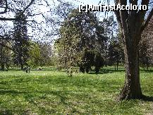 [P19] Parcul din latura de sud a palatului Mogoşoaia » foto by Costi
 - 
<span class="allrVoted glyphicon glyphicon-heart hidden" id="av44403"></span>
<a class="m-l-10 hidden" id="sv44403" onclick="voting_Foto_DelVot(,44403,4638)" role="button">șterge vot <span class="glyphicon glyphicon-remove"></span></a>
<a id="v944403" class=" c-red"  onclick="voting_Foto_SetVot(44403)" role="button"><span class="glyphicon glyphicon-heart-empty"></span> <b>LIKE</b> = Votează poza</a> <img class="hidden"  id="f44403W9" src="/imagini/loader.gif" border="0" /><span class="AjErrMes hidden" id="e44403ErM"></span>