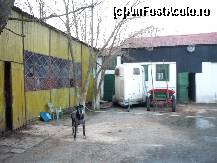 [P05] Clubul de Calarie Riding - O parte din boxele, anexele si utilajele din incinta clubului. » foto by Horia
 - 
<span class="allrVoted glyphicon glyphicon-heart hidden" id="av173296"></span>
<a class="m-l-10 hidden" id="sv173296" onclick="voting_Foto_DelVot(,173296,4638)" role="button">șterge vot <span class="glyphicon glyphicon-remove"></span></a>
<a id="v9173296" class=" c-red"  onclick="voting_Foto_SetVot(173296)" role="button"><span class="glyphicon glyphicon-heart-empty"></span> <b>LIKE</b> = Votează poza</a> <img class="hidden"  id="f173296W9" src="/imagini/loader.gif" border="0" /><span class="AjErrMes hidden" id="e173296ErM"></span>