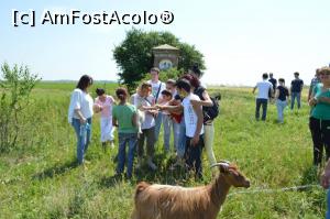 [P03] pe camp cu iedutii...  » foto by Tomi si Lili
 - 
<span class="allrVoted glyphicon glyphicon-heart hidden" id="av726494"></span>
<a class="m-l-10 hidden" id="sv726494" onclick="voting_Foto_DelVot(,726494,4638)" role="button">șterge vot <span class="glyphicon glyphicon-remove"></span></a>
<a id="v9726494" class=" c-red"  onclick="voting_Foto_SetVot(726494)" role="button"><span class="glyphicon glyphicon-heart-empty"></span> <b>LIKE</b> = Votează poza</a> <img class="hidden"  id="f726494W9" src="/imagini/loader.gif" border="0" /><span class="AjErrMes hidden" id="e726494ErM"></span>
