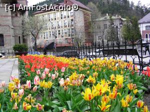 [P37] Parc în Piatra Neamț » foto by AZE
 - 
<span class="allrVoted glyphicon glyphicon-heart hidden" id="av948748"></span>
<a class="m-l-10 hidden" id="sv948748" onclick="voting_Foto_DelVot(,948748,4656)" role="button">șterge vot <span class="glyphicon glyphicon-remove"></span></a>
<a id="v9948748" class=" c-red"  onclick="voting_Foto_SetVot(948748)" role="button"><span class="glyphicon glyphicon-heart-empty"></span> <b>LIKE</b> = Votează poza</a> <img class="hidden"  id="f948748W9" src="/imagini/loader.gif" border="0" /><span class="AjErrMes hidden" id="e948748ErM"></span>