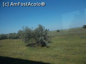 [P12] Totul este la fel » foto by Zoazore
 - 
<span class="allrVoted glyphicon glyphicon-heart hidden" id="av1380866"></span>
<a class="m-l-10 hidden" id="sv1380866" onclick="voting_Foto_DelVot(,1380866,4656)" role="button">șterge vot <span class="glyphicon glyphicon-remove"></span></a>
<a id="v91380866" class=" c-red"  onclick="voting_Foto_SetVot(1380866)" role="button"><span class="glyphicon glyphicon-heart-empty"></span> <b>LIKE</b> = Votează poza</a> <img class="hidden"  id="f1380866W9" src="/imagini/loader.gif" border="0" /><span class="AjErrMes hidden" id="e1380866ErM"></span>