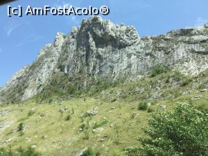 [P12] Greu de ales ce poza este mai frumoasa » foto by mishu
 - 
<span class="allrVoted glyphicon glyphicon-heart hidden" id="av889930"></span>
<a class="m-l-10 hidden" id="sv889930" onclick="voting_Foto_DelVot(,889930,4656)" role="button">șterge vot <span class="glyphicon glyphicon-remove"></span></a>
<a id="v9889930" class=" c-red"  onclick="voting_Foto_SetVot(889930)" role="button"><span class="glyphicon glyphicon-heart-empty"></span> <b>LIKE</b> = Votează poza</a> <img class="hidden"  id="f889930W9" src="/imagini/loader.gif" border="0" /><span class="AjErrMes hidden" id="e889930ErM"></span>