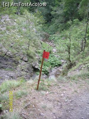[P15] Băț cu marcajul distanței. Aici - km 7 » foto by puiutea
 - 
<span class="allrVoted glyphicon glyphicon-heart hidden" id="av1189202"></span>
<a class="m-l-10 hidden" id="sv1189202" onclick="voting_Foto_DelVot(,1189202,4656)" role="button">șterge vot <span class="glyphicon glyphicon-remove"></span></a>
<a id="v91189202" class=" c-red"  onclick="voting_Foto_SetVot(1189202)" role="button"><span class="glyphicon glyphicon-heart-empty"></span> <b>LIKE</b> = Votează poza</a> <img class="hidden"  id="f1189202W9" src="/imagini/loader.gif" border="0" /><span class="AjErrMes hidden" id="e1189202ErM"></span>