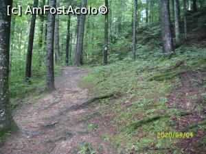 [P19] Poteca ce duce sus, la Panoramă » foto by puiutea
 - 
<span class="allrVoted glyphicon glyphicon-heart hidden" id="av1189206"></span>
<a class="m-l-10 hidden" id="sv1189206" onclick="voting_Foto_DelVot(,1189206,4656)" role="button">șterge vot <span class="glyphicon glyphicon-remove"></span></a>
<a id="v91189206" class=" c-red"  onclick="voting_Foto_SetVot(1189206)" role="button"><span class="glyphicon glyphicon-heart-empty"></span> <b>LIKE</b> = Votează poza</a> <img class="hidden"  id="f1189206W9" src="/imagini/loader.gif" border="0" /><span class="AjErrMes hidden" id="e1189206ErM"></span>