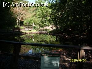 [P45] Alt lac ... » foto by puiutea
 - 
<span class="allrVoted glyphicon glyphicon-heart hidden" id="av1189232"></span>
<a class="m-l-10 hidden" id="sv1189232" onclick="voting_Foto_DelVot(,1189232,4656)" role="button">șterge vot <span class="glyphicon glyphicon-remove"></span></a>
<a id="v91189232" class=" c-red"  onclick="voting_Foto_SetVot(1189232)" role="button"><span class="glyphicon glyphicon-heart-empty"></span> <b>LIKE</b> = Votează poza</a> <img class="hidden"  id="f1189232W9" src="/imagini/loader.gif" border="0" /><span class="AjErrMes hidden" id="e1189232ErM"></span>