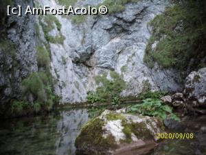 [P05] Micul - dar adâncul - lac al Izbucului Tăuz » foto by puiutea
 - 
<span class="allrVoted glyphicon glyphicon-heart hidden" id="av1189258"></span>
<a class="m-l-10 hidden" id="sv1189258" onclick="voting_Foto_DelVot(,1189258,4656)" role="button">șterge vot <span class="glyphicon glyphicon-remove"></span></a>
<a id="v91189258" class=" c-red"  onclick="voting_Foto_SetVot(1189258)" role="button"><span class="glyphicon glyphicon-heart-empty"></span> <b>LIKE</b> = Votează poza</a> <img class="hidden"  id="f1189258W9" src="/imagini/loader.gif" border="0" /><span class="AjErrMes hidden" id="e1189258ErM"></span>