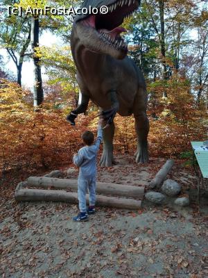 [P06] Dino Parc - Râșnov » foto by anamaria_2010
 - 
<span class="allrVoted glyphicon glyphicon-heart hidden" id="av1083733"></span>
<a class="m-l-10 hidden" id="sv1083733" onclick="voting_Foto_DelVot(,1083733,4656)" role="button">șterge vot <span class="glyphicon glyphicon-remove"></span></a>
<a id="v91083733" class=" c-red"  onclick="voting_Foto_SetVot(1083733)" role="button"><span class="glyphicon glyphicon-heart-empty"></span> <b>LIKE</b> = Votează poza</a> <img class="hidden"  id="f1083733W9" src="/imagini/loader.gif" border="0" /><span class="AjErrMes hidden" id="e1083733ErM"></span>