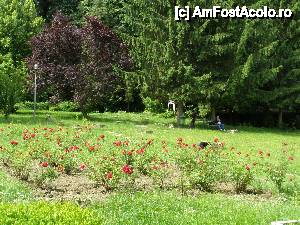 [P53] Parcul Bazei de tratament a Spit. Elias din Baile Olanesti » foto by Tzutzuricu40
 - 
<span class="allrVoted glyphicon glyphicon-heart hidden" id="av427883"></span>
<a class="m-l-10 hidden" id="sv427883" onclick="voting_Foto_DelVot(,427883,4666)" role="button">șterge vot <span class="glyphicon glyphicon-remove"></span></a>
<a id="v9427883" class=" c-red"  onclick="voting_Foto_SetVot(427883)" role="button"><span class="glyphicon glyphicon-heart-empty"></span> <b>LIKE</b> = Votează poza</a> <img class="hidden"  id="f427883W9" src="/imagini/loader.gif" border="0" /><span class="AjErrMes hidden" id="e427883ErM"></span>
