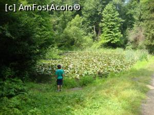 [P19] Băiatul a fost încântat de cele patru răţuşte de pe lacul din dreapta.  » foto by Floryn81
 - 
<span class="allrVoted glyphicon glyphicon-heart hidden" id="av877762"></span>
<a class="m-l-10 hidden" id="sv877762" onclick="voting_Foto_DelVot(,877762,4666)" role="button">șterge vot <span class="glyphicon glyphicon-remove"></span></a>
<a id="v9877762" class=" c-red"  onclick="voting_Foto_SetVot(877762)" role="button"><span class="glyphicon glyphicon-heart-empty"></span> <b>LIKE</b> = Votează poza</a> <img class="hidden"  id="f877762W9" src="/imagini/loader.gif" border="0" /><span class="AjErrMes hidden" id="e877762ErM"></span>