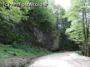 [P09] Stânci și pădure... pe drum spre schitul Comanca.  » foto by tata123 🔱
 - 
<span class="allrVoted glyphicon glyphicon-heart hidden" id="av759226"></span>
<a class="m-l-10 hidden" id="sv759226" onclick="voting_Foto_DelVot(,759226,4666)" role="button">șterge vot <span class="glyphicon glyphicon-remove"></span></a>
<a id="v9759226" class=" c-red"  onclick="voting_Foto_SetVot(759226)" role="button"><span class="glyphicon glyphicon-heart-empty"></span> <b>LIKE</b> = Votează poza</a> <img class="hidden"  id="f759226W9" src="/imagini/loader.gif" border="0" /><span class="AjErrMes hidden" id="e759226ErM"></span>