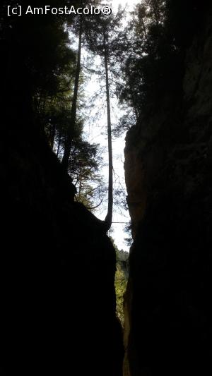 [P14] Zeci de metri sapati in stanca de calcar.  » foto by senateo
 - 
<span class="allrVoted glyphicon glyphicon-heart hidden" id="av865850"></span>
<a class="m-l-10 hidden" id="sv865850" onclick="voting_Foto_DelVot(,865850,4684)" role="button">șterge vot <span class="glyphicon glyphicon-remove"></span></a>
<a id="v9865850" class=" c-red"  onclick="voting_Foto_SetVot(865850)" role="button"><span class="glyphicon glyphicon-heart-empty"></span> <b>LIKE</b> = Votează poza</a> <img class="hidden"  id="f865850W9" src="/imagini/loader.gif" border="0" /><span class="AjErrMes hidden" id="e865850ErM"></span>