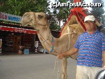 [P22] ne pare rau dar am plecat » foto by vio_andu_gaby
 - 
<span class="allrVoted glyphicon glyphicon-heart hidden" id="av235275"></span>
<a class="m-l-10 hidden" id="sv235275" onclick="voting_Foto_DelVot(,235275,4692)" role="button">șterge vot <span class="glyphicon glyphicon-remove"></span></a>
<a id="v9235275" class=" c-red"  onclick="voting_Foto_SetVot(235275)" role="button"><span class="glyphicon glyphicon-heart-empty"></span> <b>LIKE</b> = Votează poza</a> <img class="hidden"  id="f235275W9" src="/imagini/loader.gif" border="0" /><span class="AjErrMes hidden" id="e235275ErM"></span>