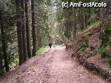 [P18] Frumoasa carare prin padure devenita acum drum forestier » foto by ionescunic
 - 
<span class="allrVoted glyphicon glyphicon-heart hidden" id="av74757"></span>
<a class="m-l-10 hidden" id="sv74757" onclick="voting_Foto_DelVot(,74757,4696)" role="button">șterge vot <span class="glyphicon glyphicon-remove"></span></a>
<a id="v974757" class=" c-red"  onclick="voting_Foto_SetVot(74757)" role="button"><span class="glyphicon glyphicon-heart-empty"></span> <b>LIKE</b> = Votează poza</a> <img class="hidden"  id="f74757W9" src="/imagini/loader.gif" border="0" /><span class="AjErrMes hidden" id="e74757ErM"></span>