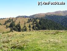 [P05] Golul alpin de langa fosta cabana Ciucas » foto by ionescunic
 - 
<span class="allrVoted glyphicon glyphicon-heart hidden" id="av74744"></span>
<a class="m-l-10 hidden" id="sv74744" onclick="voting_Foto_DelVot(,74744,4696)" role="button">șterge vot <span class="glyphicon glyphicon-remove"></span></a>
<a id="v974744" class=" c-red"  onclick="voting_Foto_SetVot(74744)" role="button"><span class="glyphicon glyphicon-heart-empty"></span> <b>LIKE</b> = Votează poza</a> <img class="hidden"  id="f74744W9" src="/imagini/loader.gif" border="0" /><span class="AjErrMes hidden" id="e74744ErM"></span>
