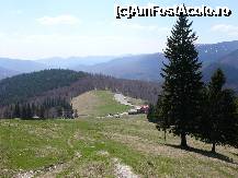 [P13] Poiana unde este amplasata cabana, vazuta din punctul unde marcajele TR si BG se despart » foto by Claudiu U.
 - 
<span class="allrVoted glyphicon glyphicon-heart hidden" id="av321626"></span>
<a class="m-l-10 hidden" id="sv321626" onclick="voting_Foto_DelVot(,321626,4696)" role="button">șterge vot <span class="glyphicon glyphicon-remove"></span></a>
<a id="v9321626" class=" c-red"  onclick="voting_Foto_SetVot(321626)" role="button"><span class="glyphicon glyphicon-heart-empty"></span> <b>LIKE</b> = Votează poza</a> <img class="hidden"  id="f321626W9" src="/imagini/loader.gif" border="0" /><span class="AjErrMes hidden" id="e321626ErM"></span>