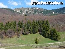 [P05] Inainte de a intra in padure mai aruncam o privire inapoi » foto by Claudiu U.
 - 
<span class="allrVoted glyphicon glyphicon-heart hidden" id="av321608"></span>
<a class="m-l-10 hidden" id="sv321608" onclick="voting_Foto_DelVot(,321608,4696)" role="button">șterge vot <span class="glyphicon glyphicon-remove"></span></a>
<a id="v9321608" class=" c-red"  onclick="voting_Foto_SetVot(321608)" role="button"><span class="glyphicon glyphicon-heart-empty"></span> <b>LIKE</b> = Votează poza</a> <img class="hidden"  id="f321608W9" src="/imagini/loader.gif" border="0" /><span class="AjErrMes hidden" id="e321608ErM"></span>
