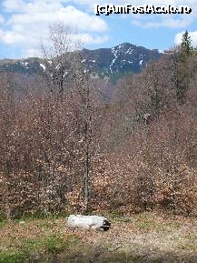 [P07] Prin padure, cu putin timp inainte de a ajunge la cabana » foto by Claudiu U.
 - 
<span class="allrVoted glyphicon glyphicon-heart hidden" id="av321613"></span>
<a class="m-l-10 hidden" id="sv321613" onclick="voting_Foto_DelVot(,321613,4696)" role="button">șterge vot <span class="glyphicon glyphicon-remove"></span></a>
<a id="v9321613" class=" c-red"  onclick="voting_Foto_SetVot(321613)" role="button"><span class="glyphicon glyphicon-heart-empty"></span> <b>LIKE</b> = Votează poza</a> <img class="hidden"  id="f321613W9" src="/imagini/loader.gif" border="0" /><span class="AjErrMes hidden" id="e321613ErM"></span>