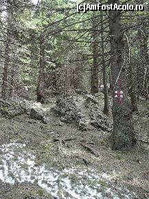 [P13] Coborarea prin padure, catre saua Teslei » foto by Claudiu U.
 - 
<span class="allrVoted glyphicon glyphicon-heart hidden" id="av327927"></span>
<a class="m-l-10 hidden" id="sv327927" onclick="voting_Foto_DelVot(,327927,4696)" role="button">șterge vot <span class="glyphicon glyphicon-remove"></span></a>
<a id="v9327927" class=" c-red"  onclick="voting_Foto_SetVot(327927)" role="button"><span class="glyphicon glyphicon-heart-empty"></span> <b>LIKE</b> = Votează poza</a> <img class="hidden"  id="f327927W9" src="/imagini/loader.gif" border="0" /><span class="AjErrMes hidden" id="e327927ErM"></span>