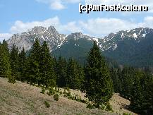 [P17] Ciucasul, vazut din poiana Teslei. Varful-Saua TIgailor-Bratocea (de la stanga la dreapta) » foto by Claudiu U.
 - 
<span class="allrVoted glyphicon glyphicon-heart hidden" id="av327931"></span>
<a class="m-l-10 hidden" id="sv327931" onclick="voting_Foto_DelVot(,327931,4696)" role="button">șterge vot <span class="glyphicon glyphicon-remove"></span></a>
<a id="v9327931" class=" c-red"  onclick="voting_Foto_SetVot(327931)" role="button"><span class="glyphicon glyphicon-heart-empty"></span> <b>LIKE</b> = Votează poza</a> <img class="hidden"  id="f327931W9" src="/imagini/loader.gif" border="0" /><span class="AjErrMes hidden" id="e327931ErM"></span>