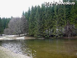 [P02] Micul lac ce l-am găsit în drumul nostru » foto by Claudiu U.
 - 
<span class="allrVoted glyphicon glyphicon-heart hidden" id="av467021"></span>
<a class="m-l-10 hidden" id="sv467021" onclick="voting_Foto_DelVot(,467021,4696)" role="button">șterge vot <span class="glyphicon glyphicon-remove"></span></a>
<a id="v9467021" class=" c-red"  onclick="voting_Foto_SetVot(467021)" role="button"><span class="glyphicon glyphicon-heart-empty"></span> <b>LIKE</b> = Votează poza</a> <img class="hidden"  id="f467021W9" src="/imagini/loader.gif" border="0" /><span class="AjErrMes hidden" id="e467021ErM"></span>